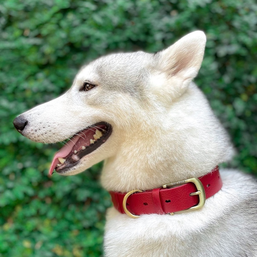 Tuff Pupper Classic Heavy Duty Dog Collar | 10x Stronger Than Leather | RED